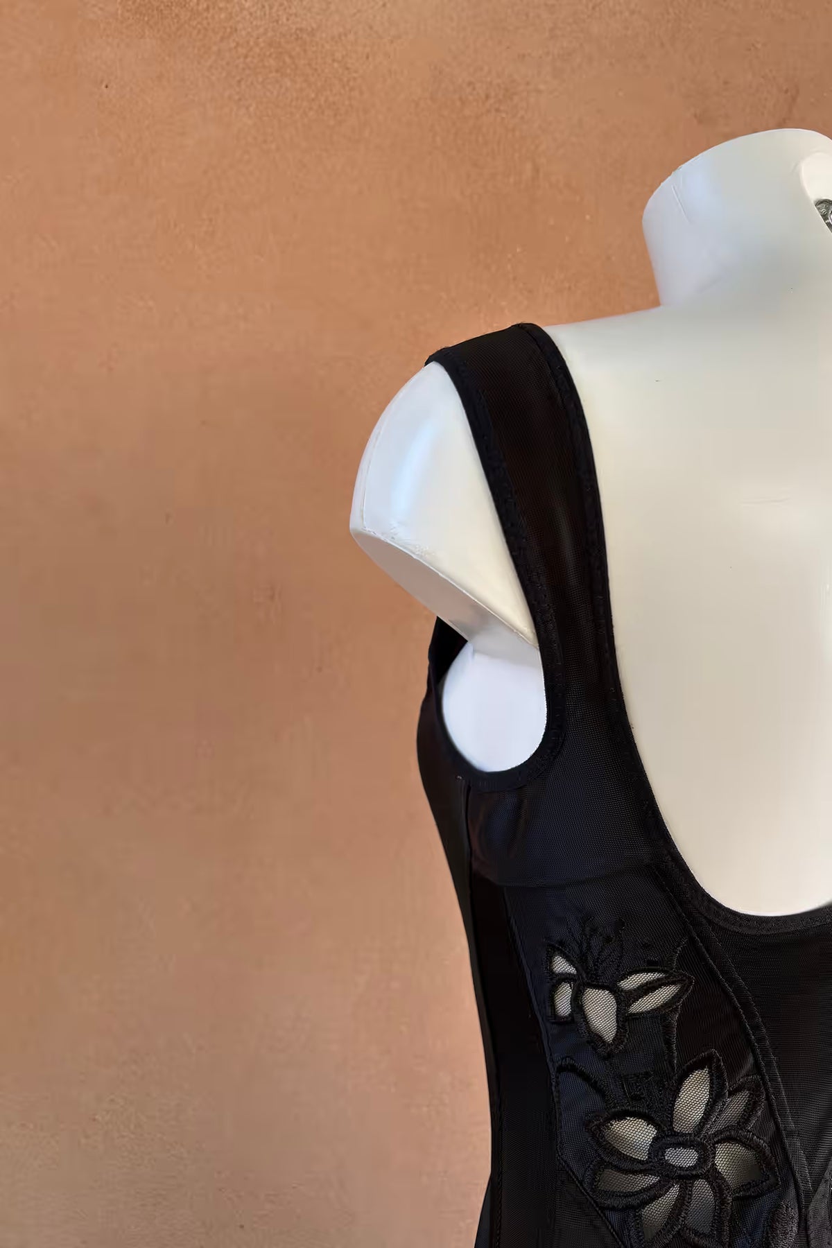 The Embroidered Sheer Corset Top